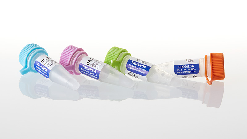 U1335_Set-of-dUTP--dCTP--dGTP--dATP-100mM-each_3