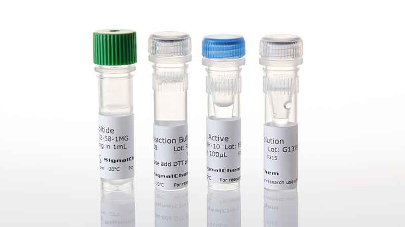 V4492-Kinase-Enzyme-Systems