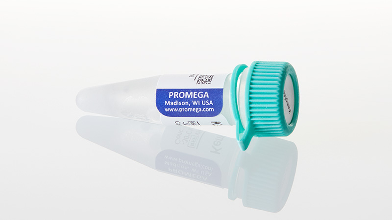 V5601_Kemptide--PKA--Peptide-Substrate--1mg_3