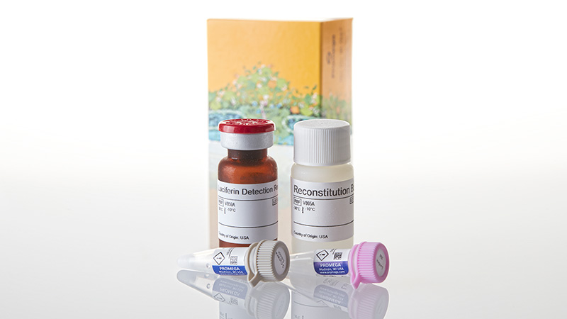 V8321_P450-Glo--CYP2B6-Assay--10ml_3