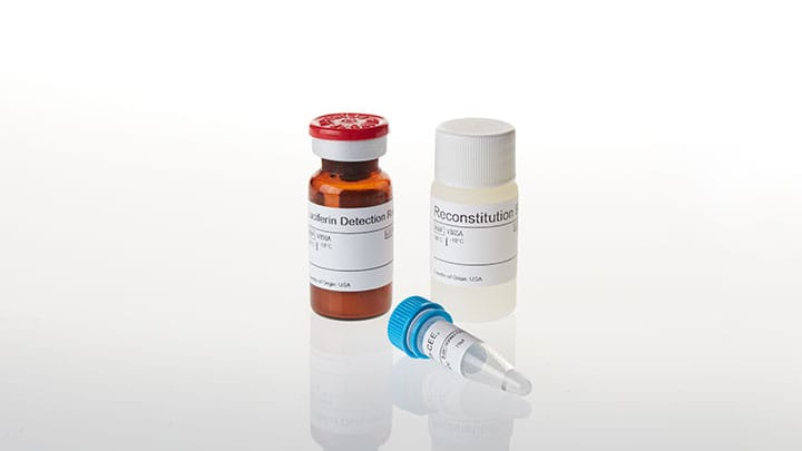 V8751-p450-glo-cyp1a1-assay