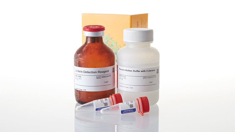 V8882_P450-Glo--CYP2C19-Assay-50ml_3