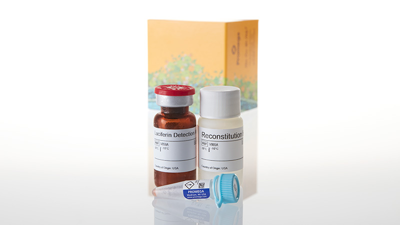 V8911_P450-Glo-CYP3A4