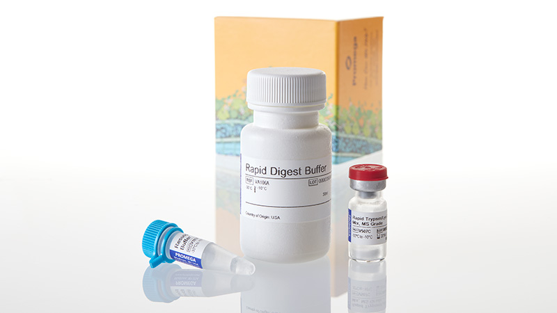 VA1061_Rapid-Digestion-Kit-Trypsin-3a-Lys-C_3