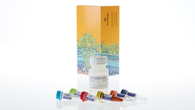 W1151_Lumit--FcRn-Binding-Immunoassay--100-Assays_3