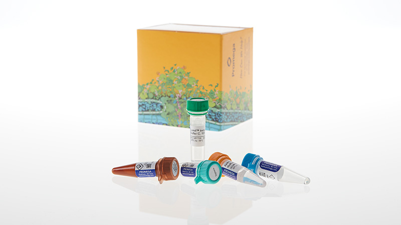 W1231_Lumit--Immunoassay-Lysis-and-Detection-Kit--100-assays_3