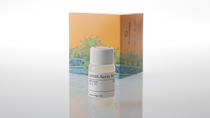 w2010-lumit-dsrna-assay-buffer-5x