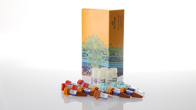 w6042-lumit-ifn-y-human-immunoassay-500-assays