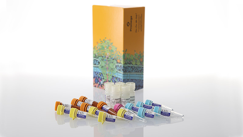 w6052-lumit-tnf-a-human-immunoassay-500-assays