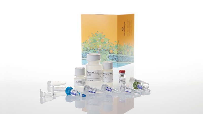 Z1001-reliaprep-ffpe-total-rna-miniprep-system