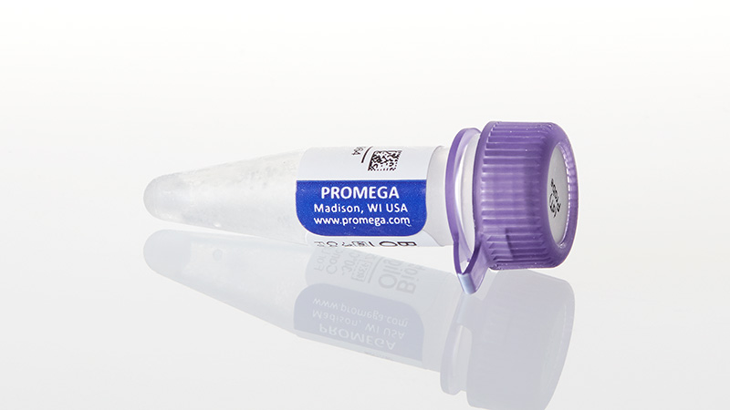 Z5261_Biotinylated-Oligo--dT--Probe_3