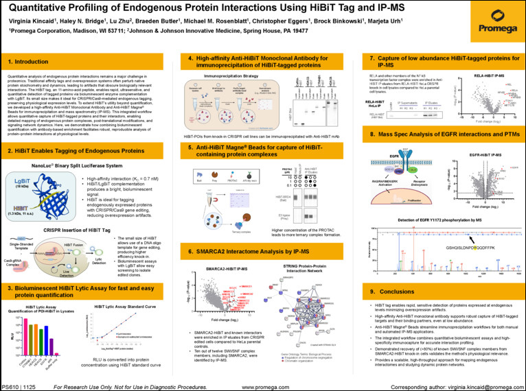 Image of poster