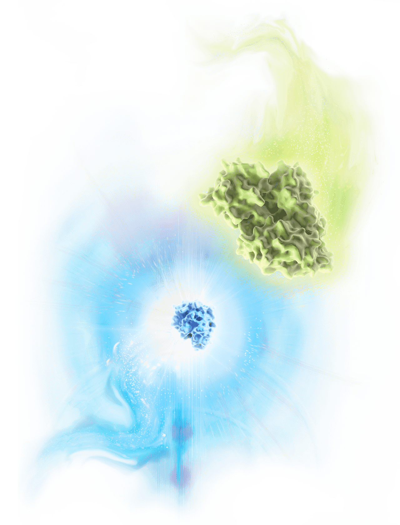 Dual-Luciferase Reporter Assay featuring NanoLuc and firefly luciferases
