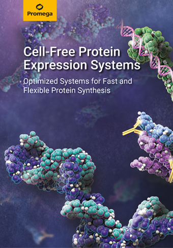 massspec-webpage-broschuere