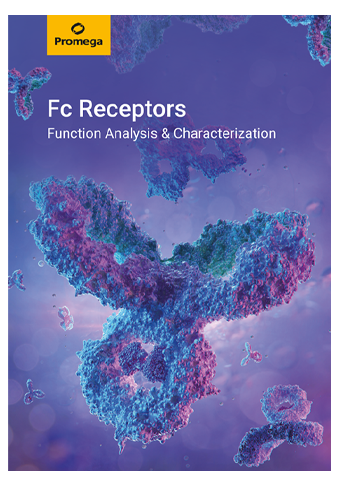 fc-rezeptor-web-broschuere