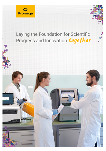 image-web-portfolio-en