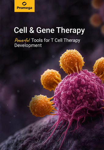 webpage-cell-gene-therapy-broschuere