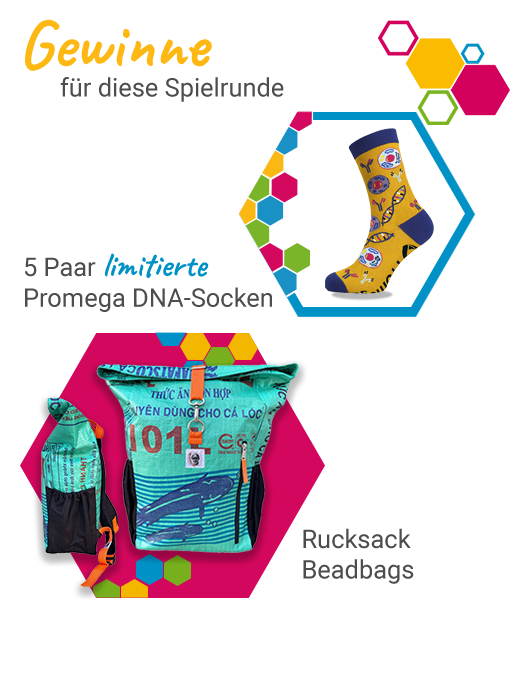 Werbegrafik zur aktuellen Gewinnrunde mit bunten Promega-Socken und einem BEADBAGS Rucksack als Hauptpreise.