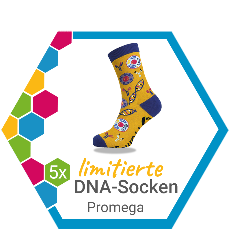 Grafik mit einer einzelnen limitierten Promega DNA-Socke auf farbigem Hexagon-Hintergrund. Textlich wird „5x limitierte Promega DNA-Socken“ angezeigt.