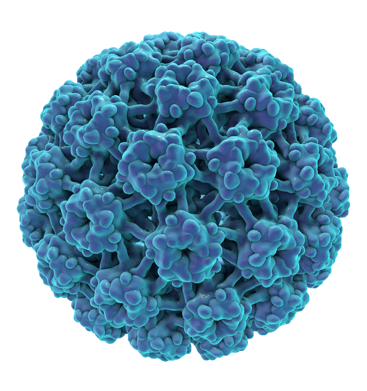 de-2002-hpv-virus-320x290