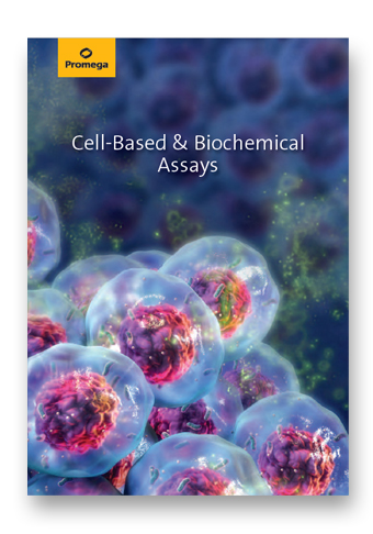 Cell-Based & Biochemical Assays