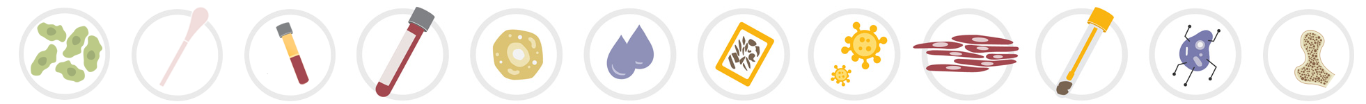 maxwellfamilysampletypesall