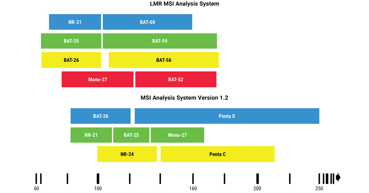 2022-02-pm-lmr-msi-msi-comparison