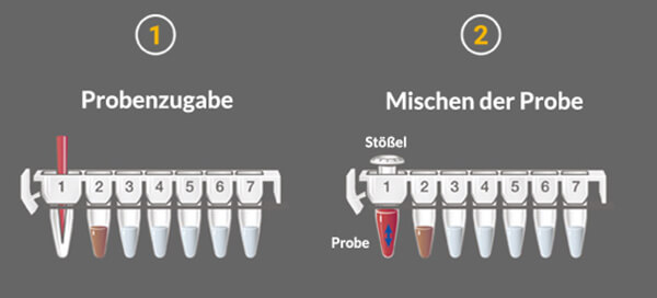 de-190618-maxwell-csc-process-step1
