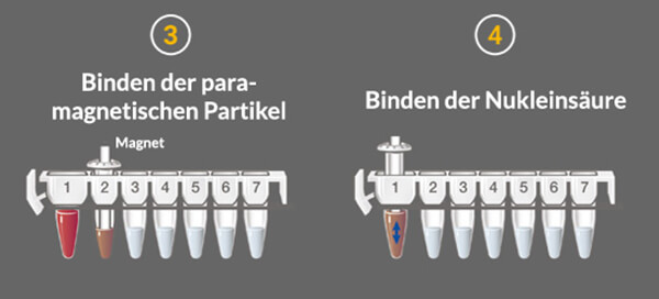 de-190618-maxwell-csc-process-step2