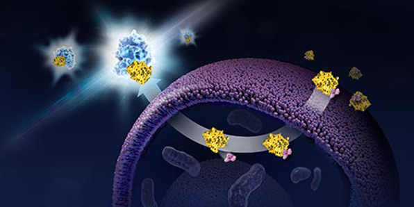 promega-seminars-596x298-modul1