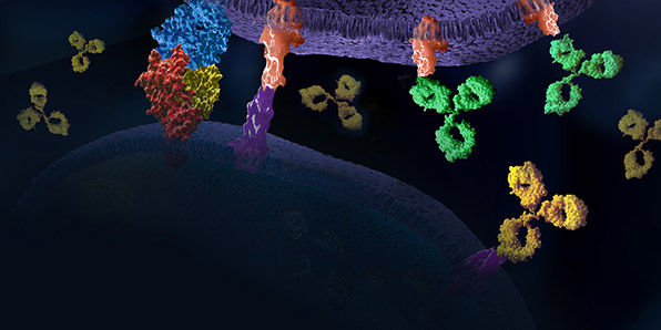 promega-seminars-596x298-modul2