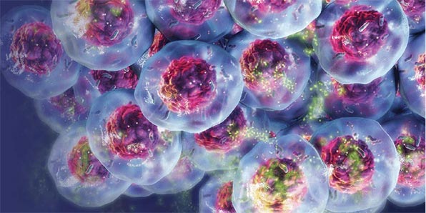 promega-seminars-596x298-modul6