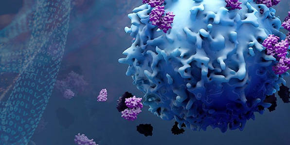 Image zum Promega Seminar Modul-8