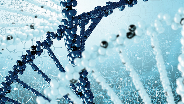 2026-workshop-header