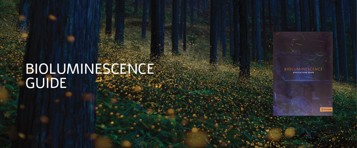 Promega Promo Bioluminescence Guide