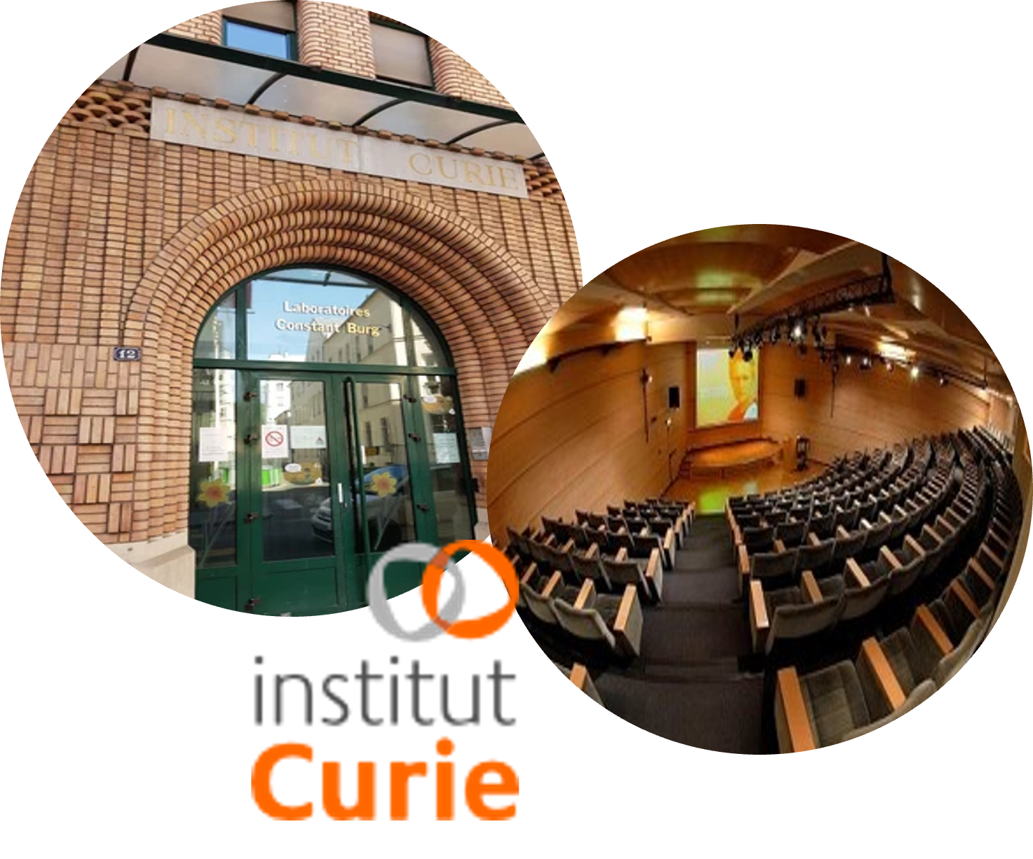 institut-curie
