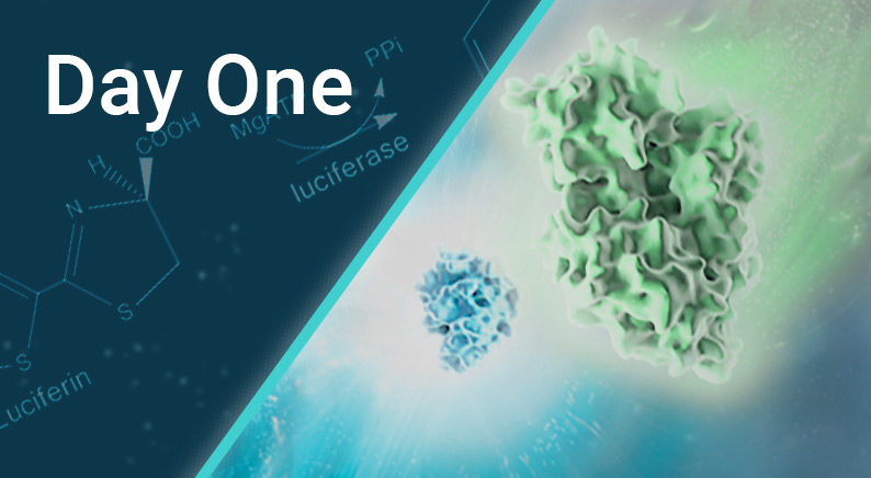 day-one-of-discover-glo-event