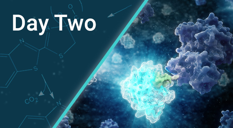 day-two-of-discover-glo-event