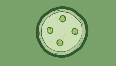 Four cloning vectors move inside a cell