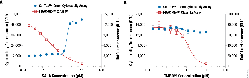 Example data demonstrating the HDAC-Glo™ Assays multiplexed with the CellTox™ Green Cytotoxicity Assay.