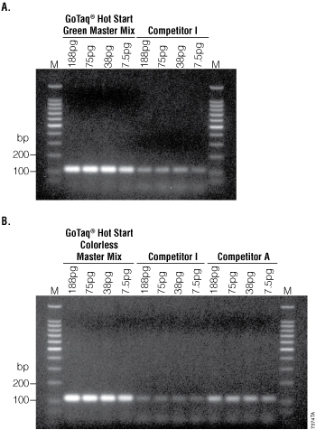 Detection of an HIV-gag fragment from HIV-1 DNA template using GoTaq Hot Start Master Mixes v. competitor.