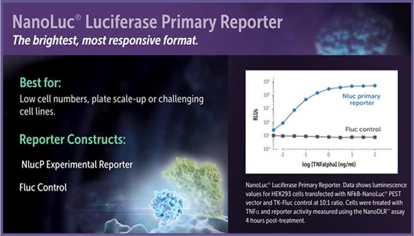 DLR_infographic_1_600PX