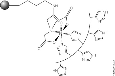 his linked protein purification tag