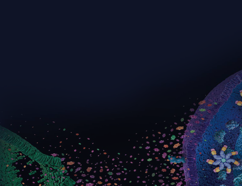 rr-inflammation-assays-812x624