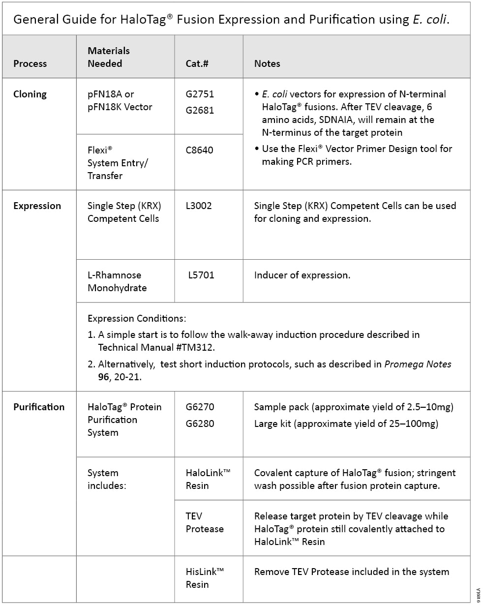 Table that describes process, materials needed, catalog numbers and notes for aloTag Fusion Expression and Purification using E. coli.