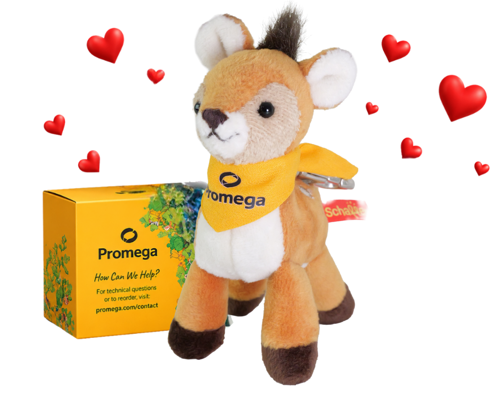 Rehgina mit Promega-Geschenkbox und Herzen