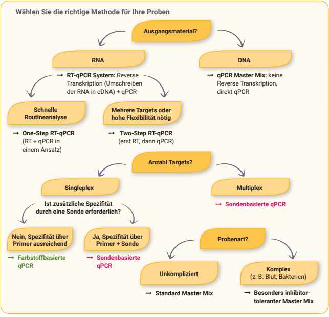 qPCR Entscheidungsbaum: Wählen Sie die richtige Methode für Ihre Proben. Ausgangsmaterial RNA führt zum RT-qPCR System (Reverse Transkription der RNA in cDNA + qPCR): Bei schneller Routineanalyse wird One-Step RT-qPCR empfohlen (RT + qPCR in einem Ansatz), bei mehreren Targets oder hoher Flexibilität Two-Step RT-qPCR (erst RT, dann qPCR). Ausgangsmaterial DNA führt direkt zum qPCR Master Mix ohne Reverse Transkription. Beide Pfade führen zur Frage nach der Anzahl der Targets: Bei Singleplex wird gefragt, ob zusätzliche Spezifität durch eine Sonde erforderlich ist – Nein bedeutet Farbstoffbasierte qPCR (Spezifität über Primer ausreichend), Ja bedeutet Sondenbasierte qPCR (Spezifität über Primer + Sonde). Bei Multiplex wird Sondenbasierte qPCR für alle Targets empfohlen, gefolgt von der Frage nach der Probenart: Unkomplizierte Proben verwenden einen Standard Master Mix, komplexe Proben wie Blut oder Bakterien einen besonders inhibitortoleranten Master Mix wie GoTaq Endure.